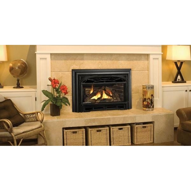 Valor G3 Series Gas Insert (Direct Vent)