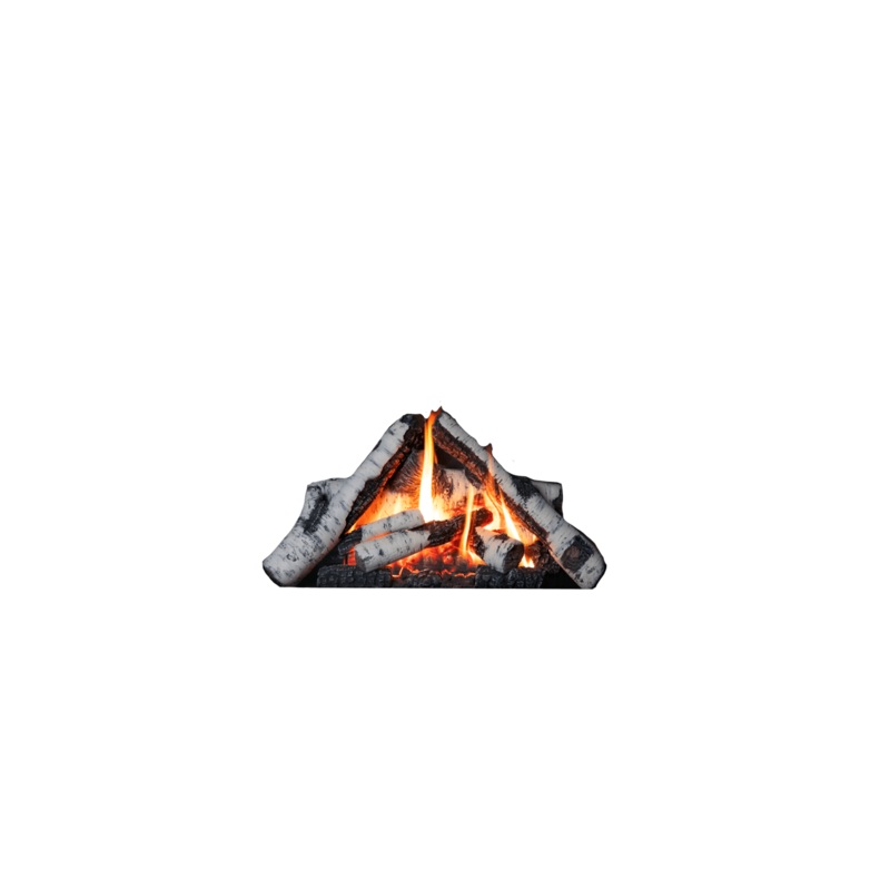Valor Birch Log Kit – 1000BLKV2