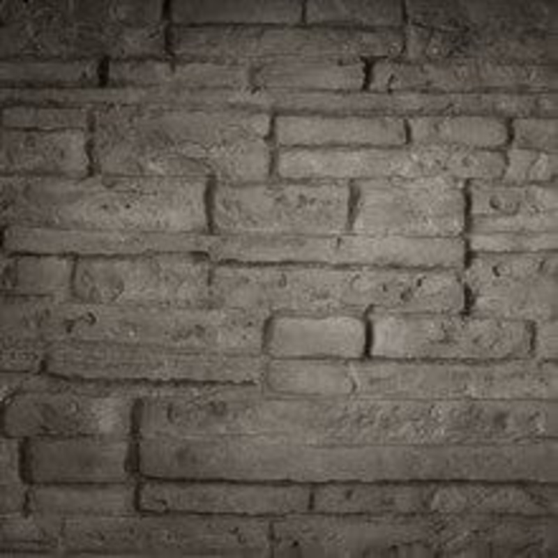 Napoleon Ledgestone Decorative Brick Panel (BLP56) – DBPBL56LS