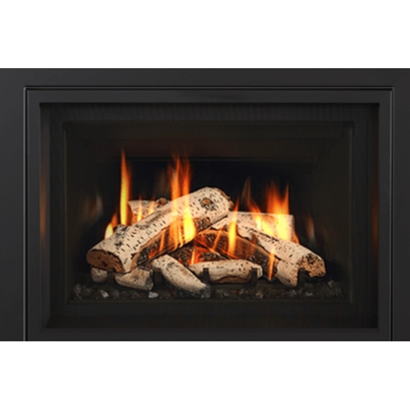 Regency Birch Log Set w/ Embers (Gi29L) – 311-931