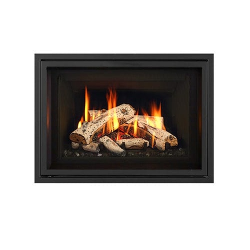 Regency Birch Log Set (GI27LE) – 550-931