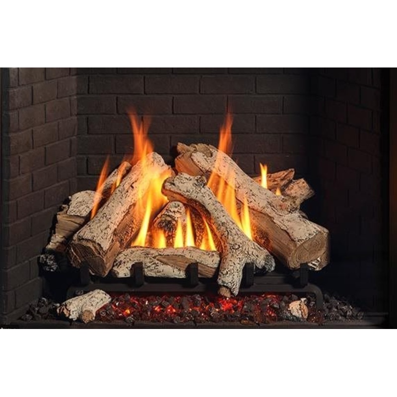 Regency Birch Log Set (G800P) – 762-932