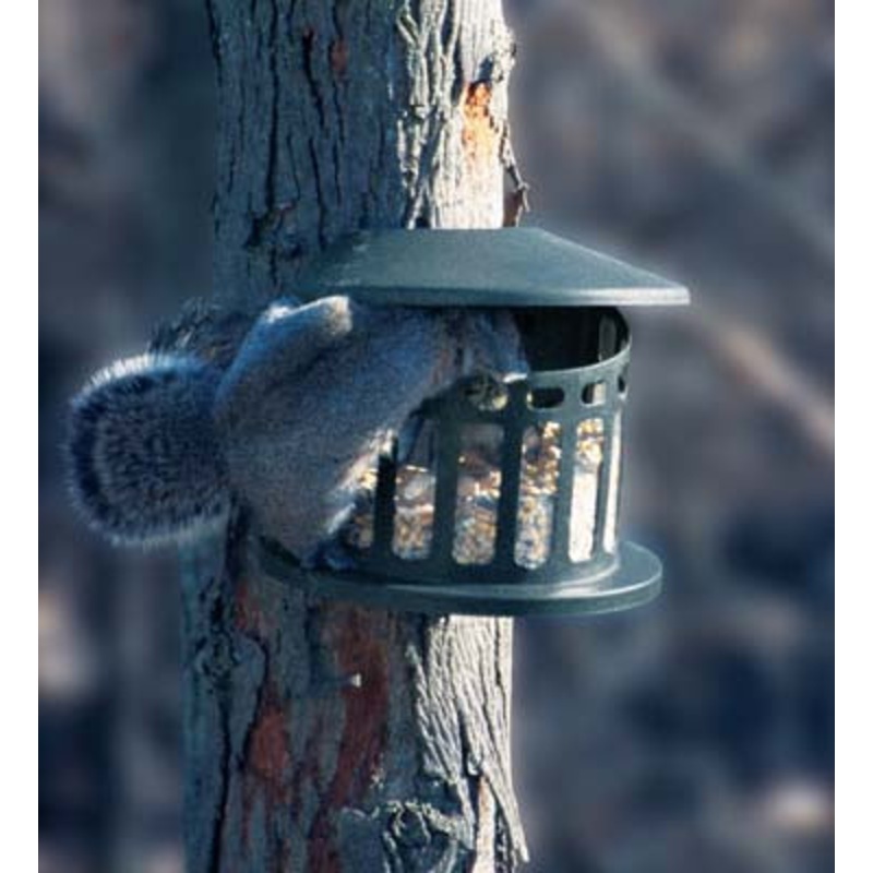 WoodLink Squirrel Diner 2 Feeder