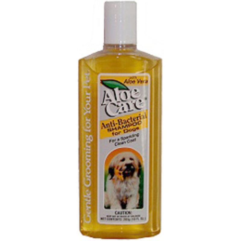 10OZ ALOE TEARLESS SHAMPOO