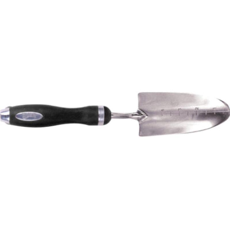 SS TRANSPLANTER