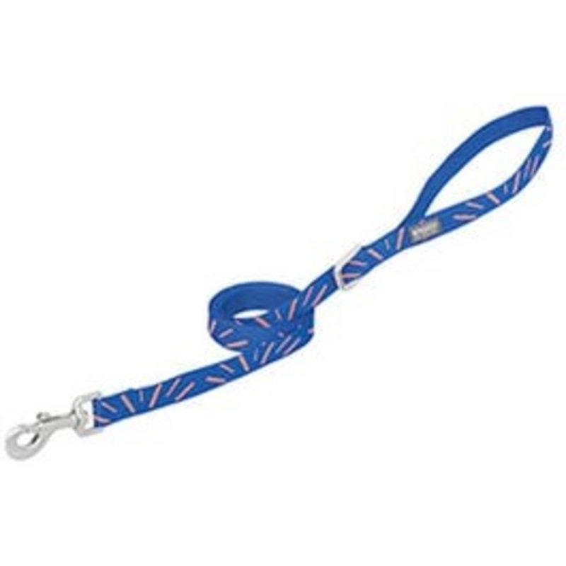 Terrain Dog Leash, Sun Ray, 3/4-In. x 4-Ft.