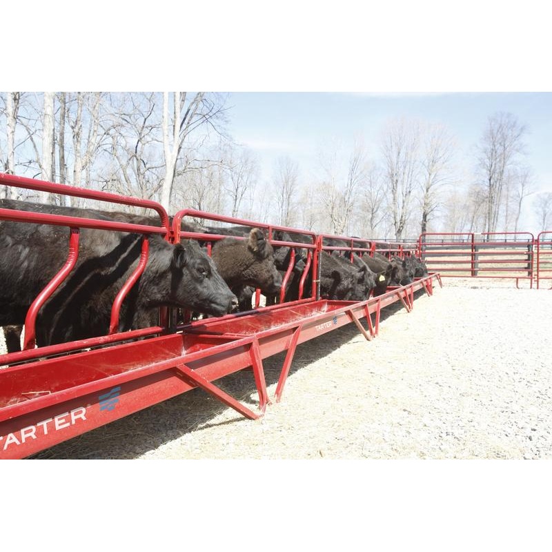 Tarter 10 Metal Grain Feeder