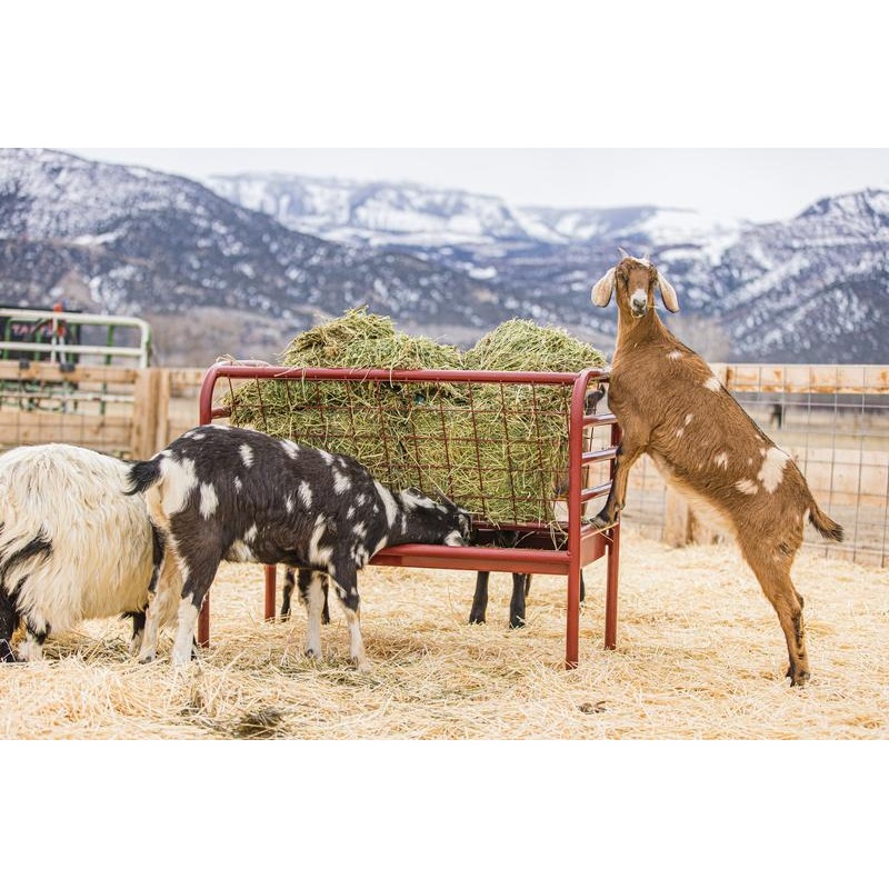 Tarter DuraTough Small Animal Feeder