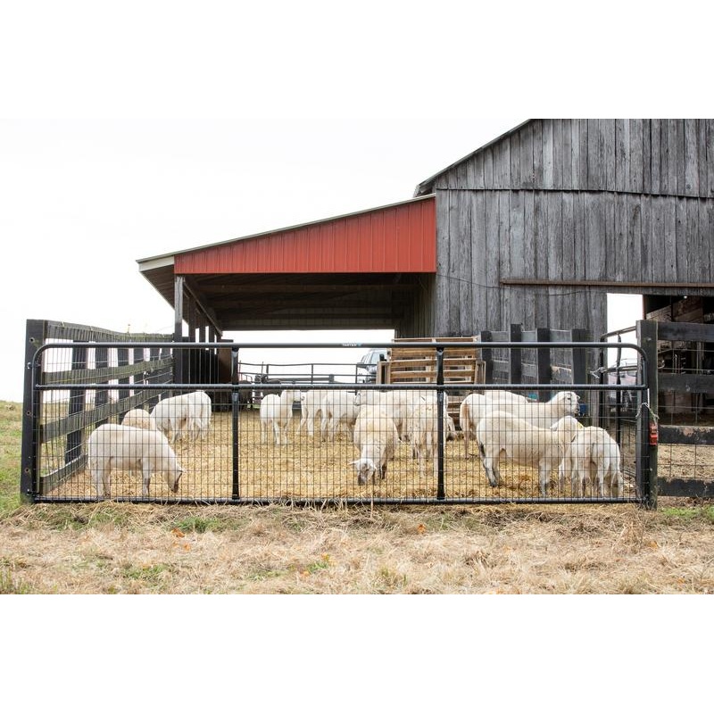 Tarter Watchman Wire Mesh Gate 2 in x 4 in x 12 ft.