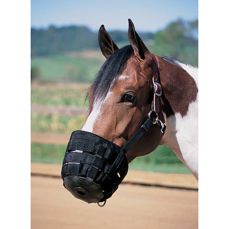 Weaver Leather Grazing Muzzle|Small: 5-1/2″ D x 6″ Diameter|X-Small: 5″ D x 5″ Diameter