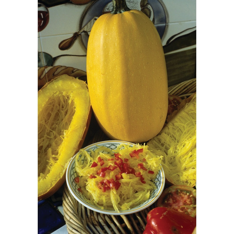 SQUASH VEGETABLE SPAGHETTI
