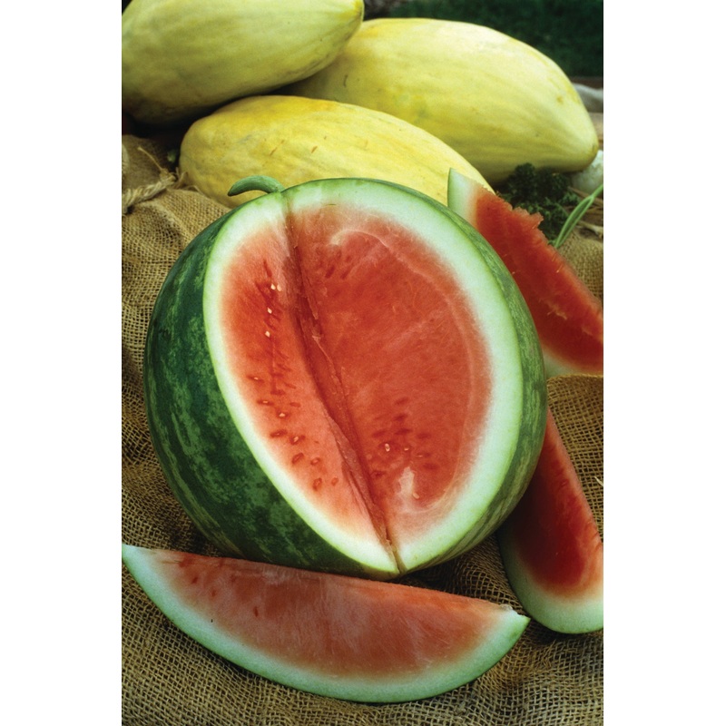 WATERMELON CRIMSON SWEET
