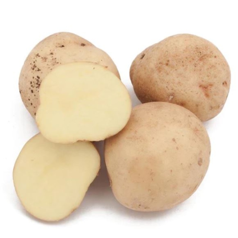 Yukon Gold Potato – Certified