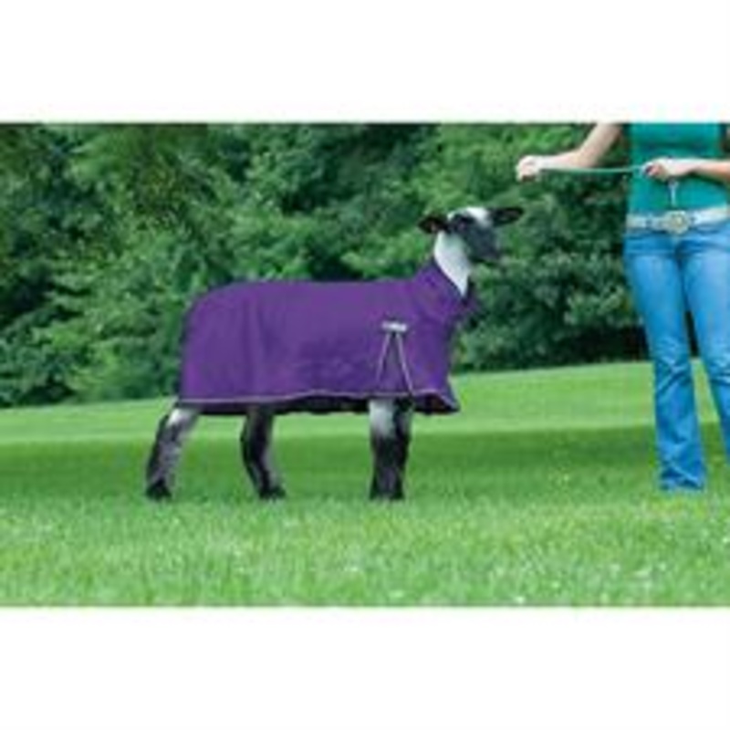 Weaver Leather ProCool Sheep Blanket with Reflective Piping