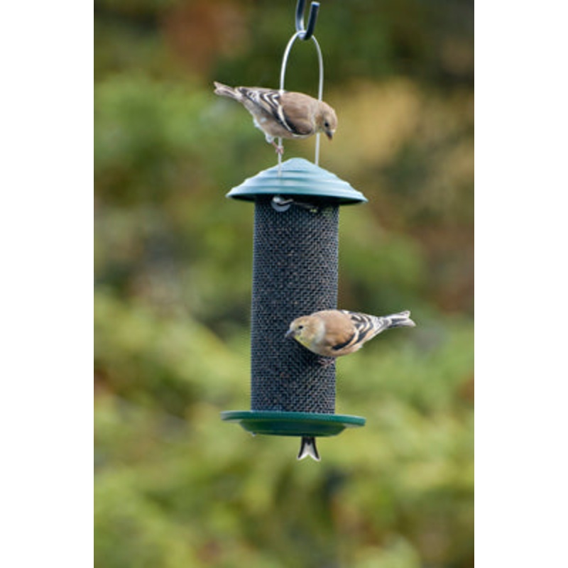 Woodlink Metal Mini Magnum Nyjer Screen Feeder