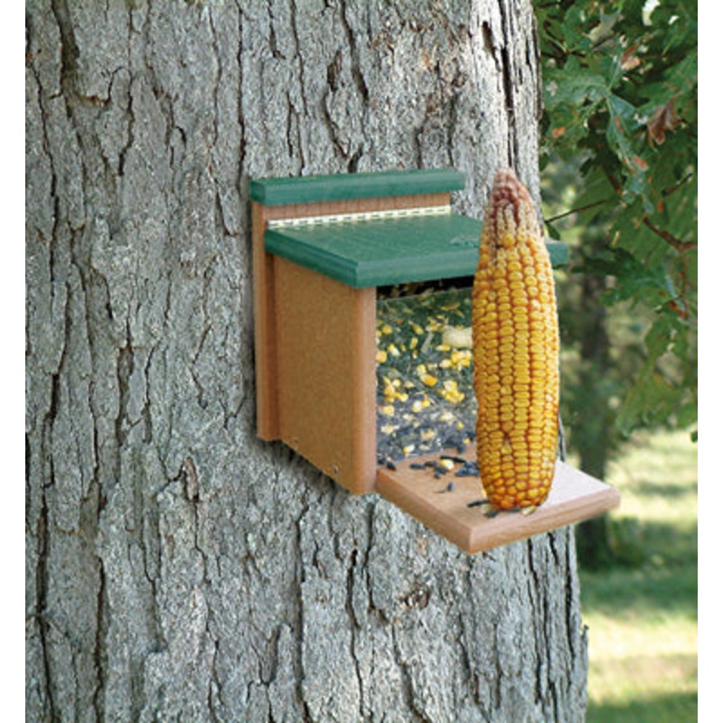 WoodLink Going Green Squirrel Munch Box