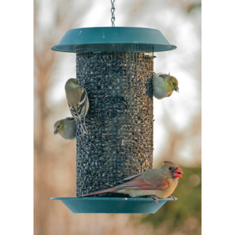 WoodLink Plastic Magnum Sunflower Screen Feeder
